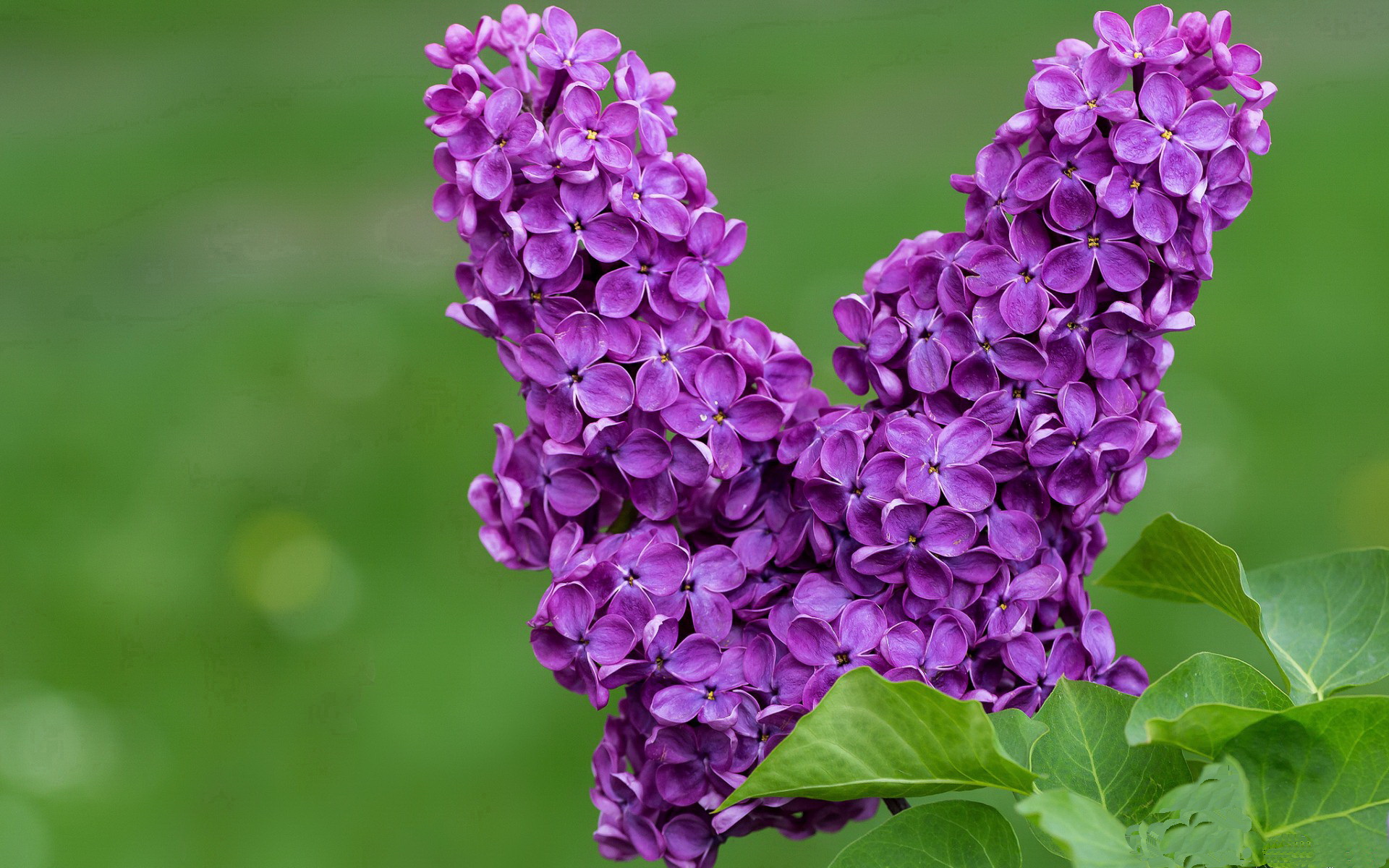 如何看待中国足球在中超联赛中的惨败，中超国足分析