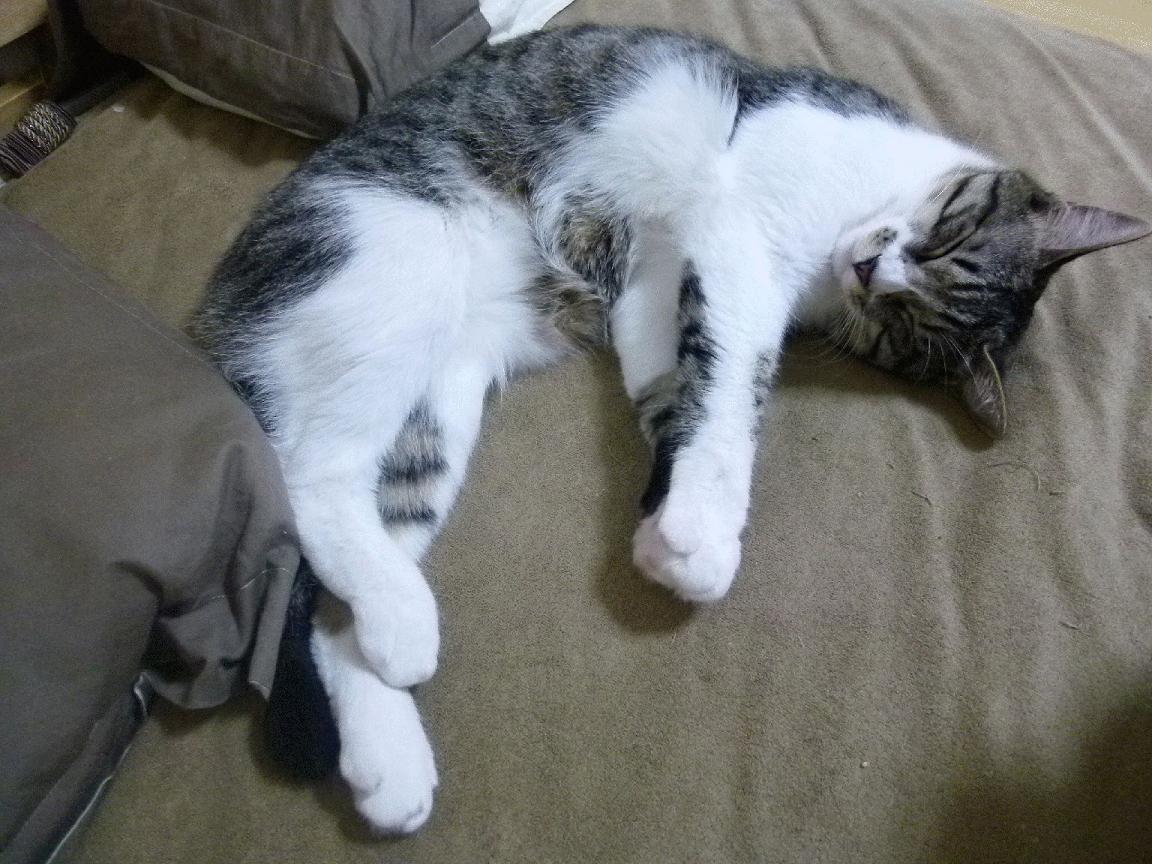 如何看待中国足球在中超联赛中的惨败，中超国足分析