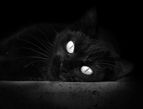 职业联赛缺少标志性国家德比赛事，没职业联赛