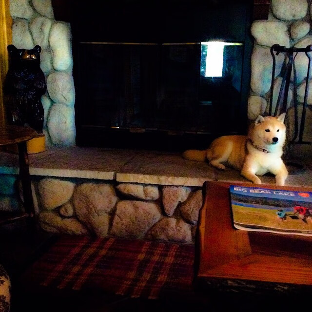 跨越五洲，轻艇马拉松架起友谊之桨，世界陆上赛艇马拉松