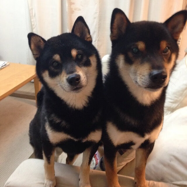 巴尔：全黑队中场的“破坏者”，精准抢断并快速反击